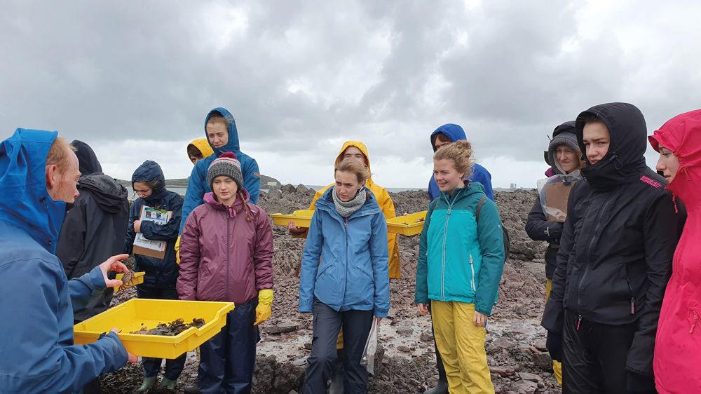 Teacher with students at a coastal location, examining fieldwork examples