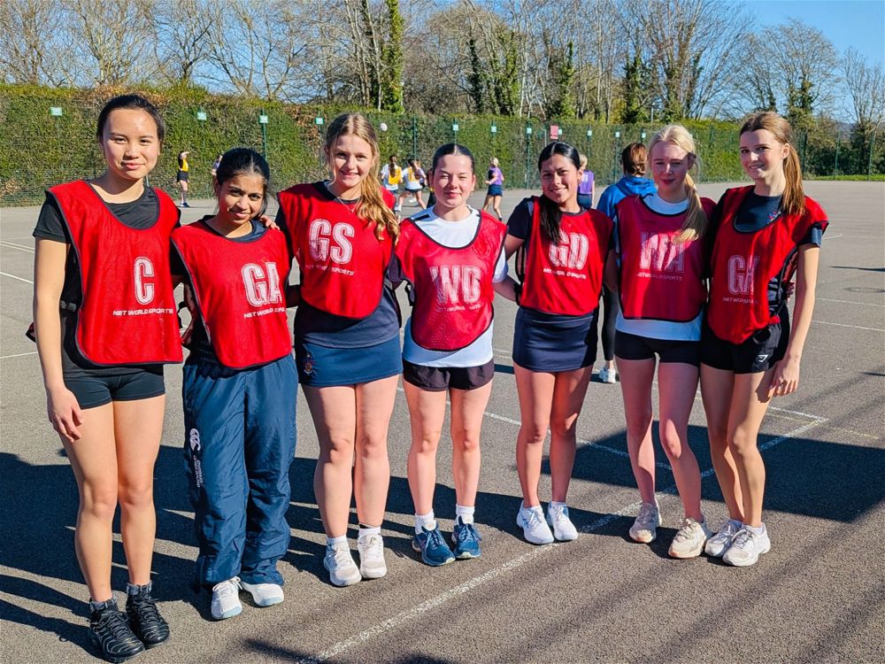 House Netball - Image