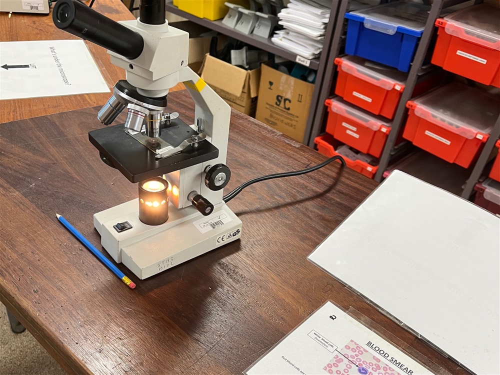 Year 12 Lead Primary Science Sessions - Image