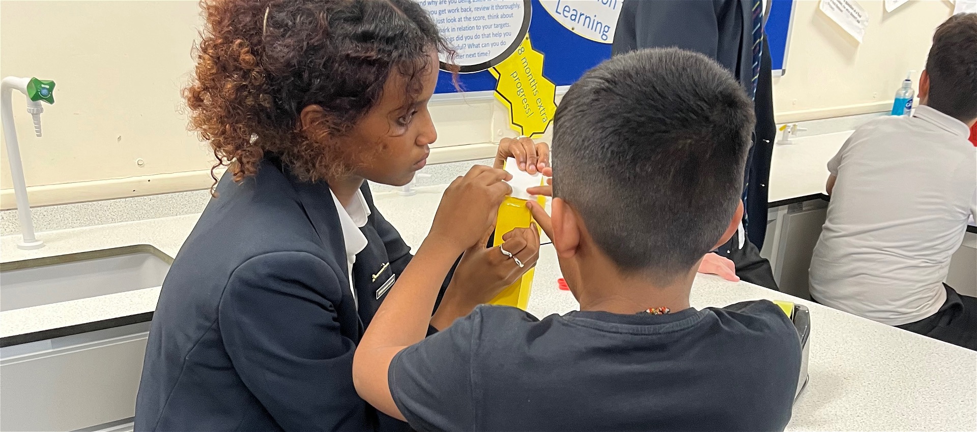 Year 12 Lead Primary Science Sessions