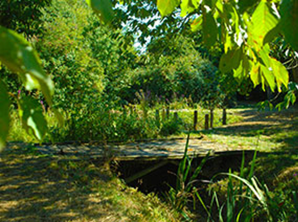 Memorial Garden - Image