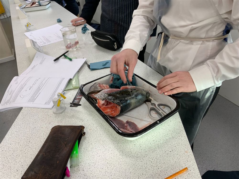 Year 12 Biology Practical - Image