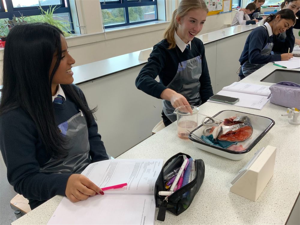 Year 12 Biology Practical - Image