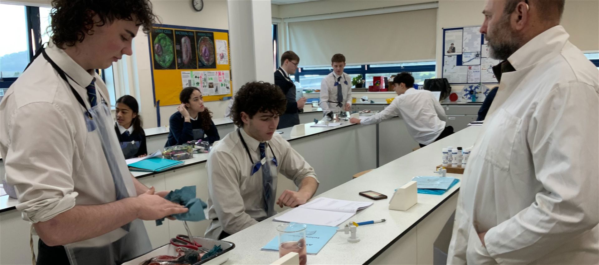 Year 12 Biology Practical