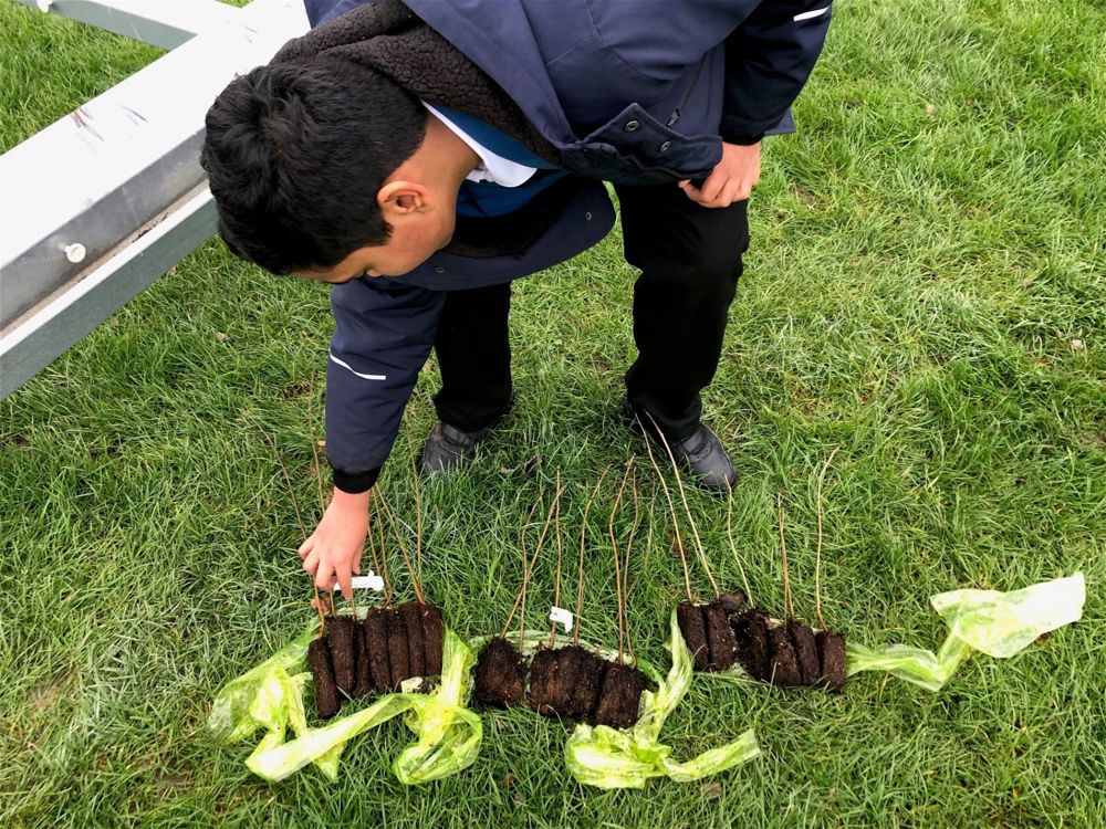 Eco Club Plant 30 Trees - Image