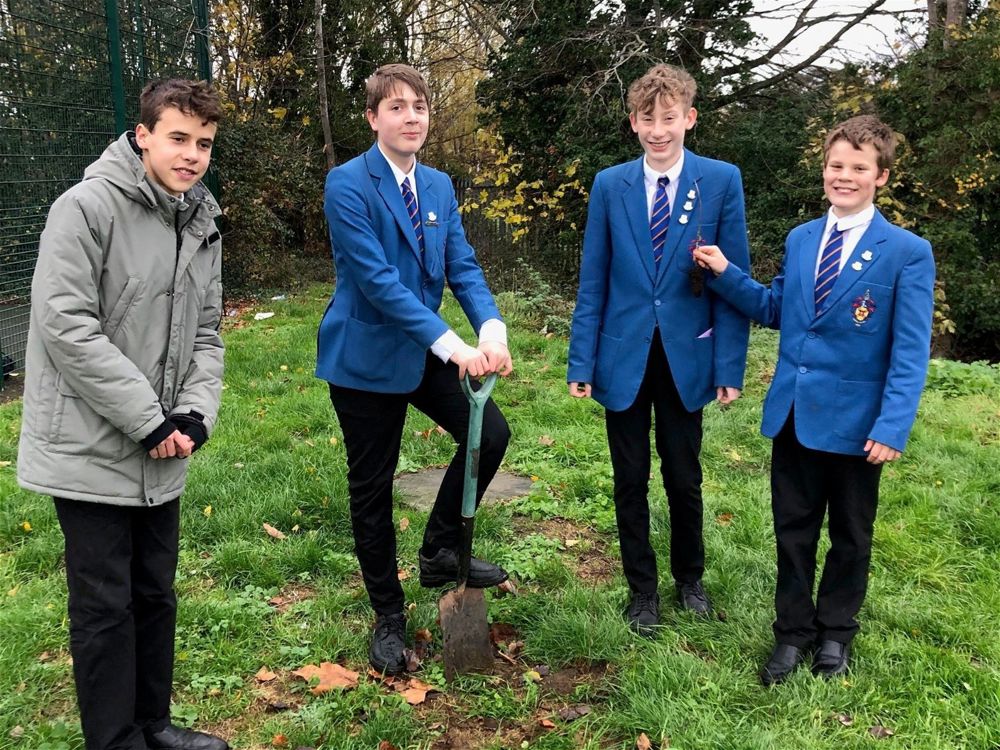Eco Club Plant 30 Trees - Image