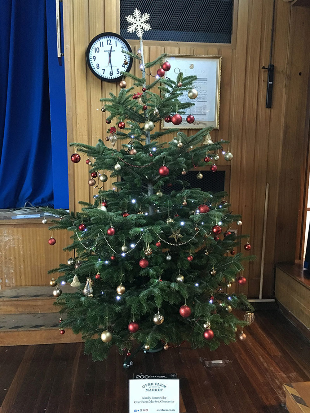 Christmas Tree Light Up - Image