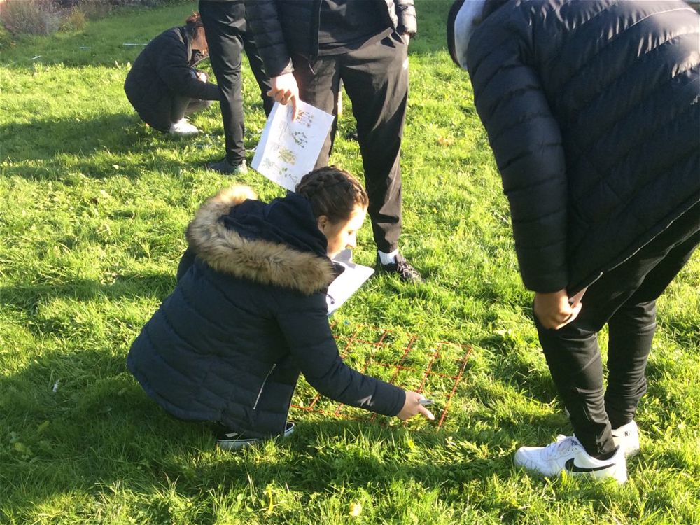 Year 13 Biology Fieldwork - Image