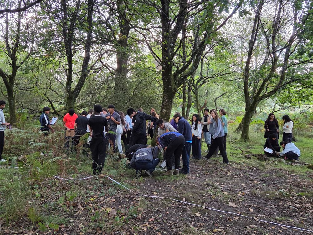 Year 13 Biology Fieldtrip - Image