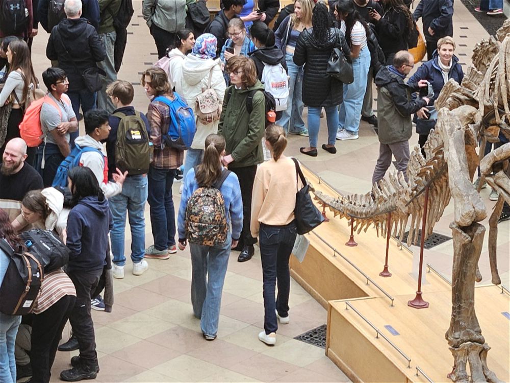 Oxford Museum of Natural History - Image