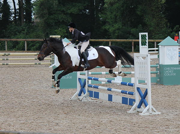 Photo 1 - Show Jumper Qualifies for National Championships