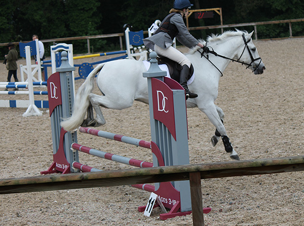 Photo 2 - Show Jumper Qualifies for National Championships