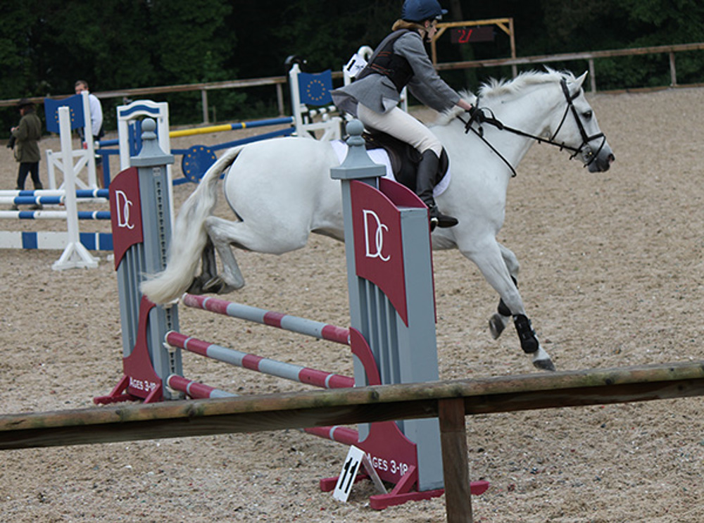 Show Jumper Qualifies for National Championships - Image