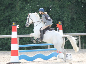 Photo 1 - Equestrian News