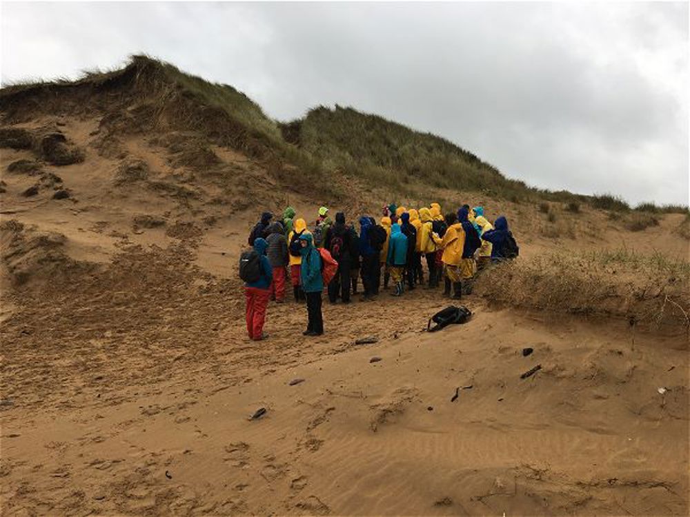 Biology field trip in Pembrokeshire - Image