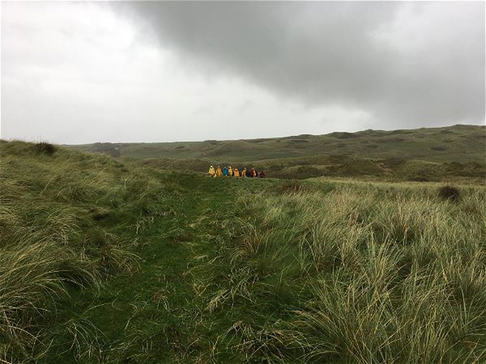 Biology field trip in Pembrokeshire - Image