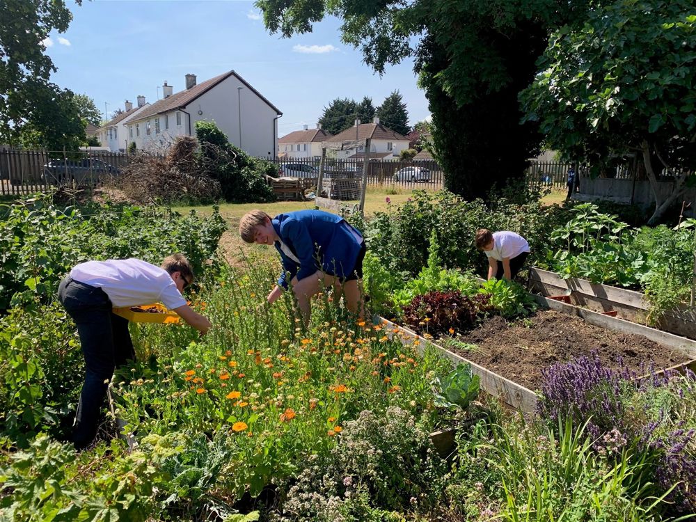 Growing and Gardening Club Raise £206.50 for Local Charities - Image