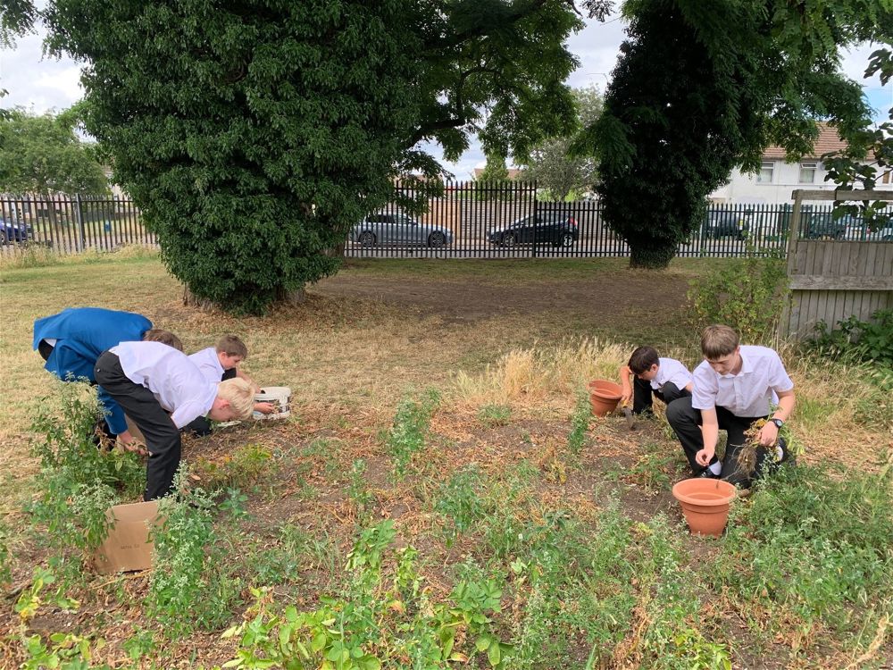 Growing and Gardening Club Raise £206.50 for Local Charities - Image