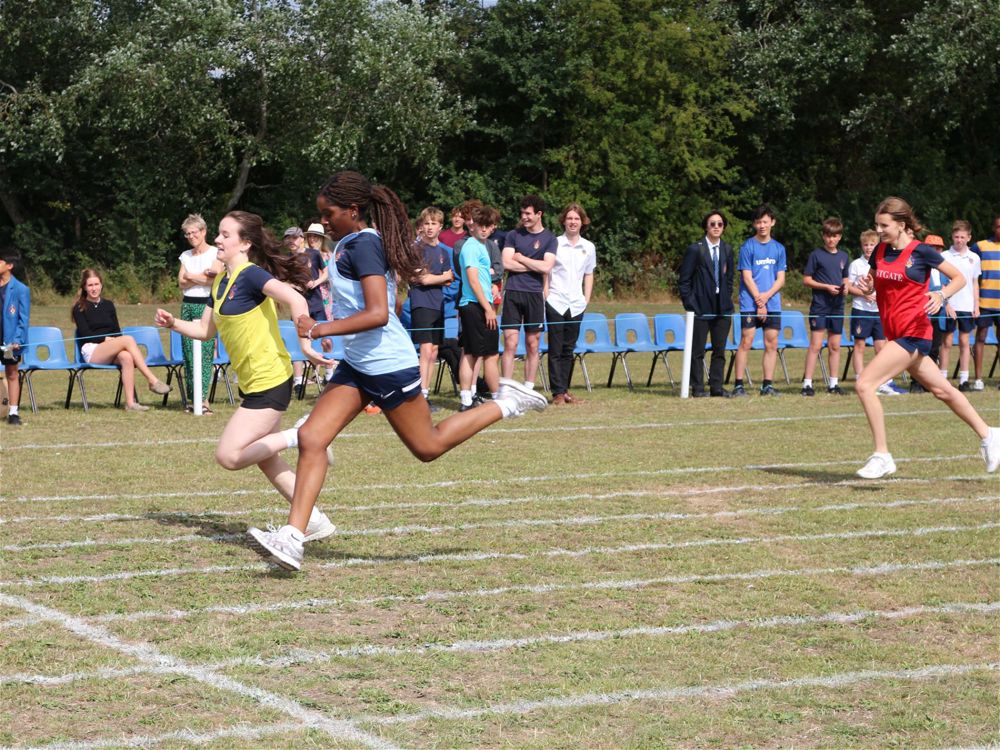 Sports Evening - Image