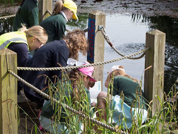 Photo 2 - Longlevens Infant School pond dips at Rich's
