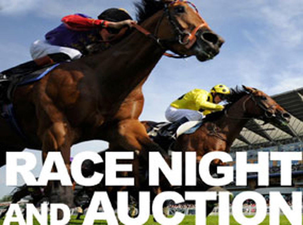 Race Night and Auction June 2013 - Image