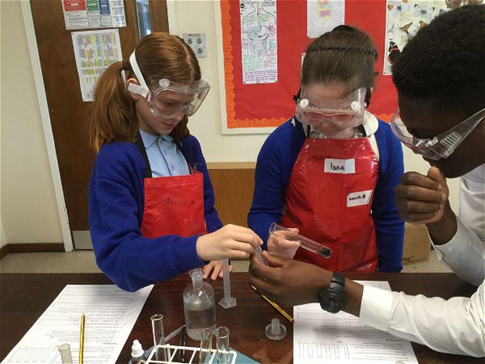 Local Primary Pupils Enjoy Rich's Labs - Image