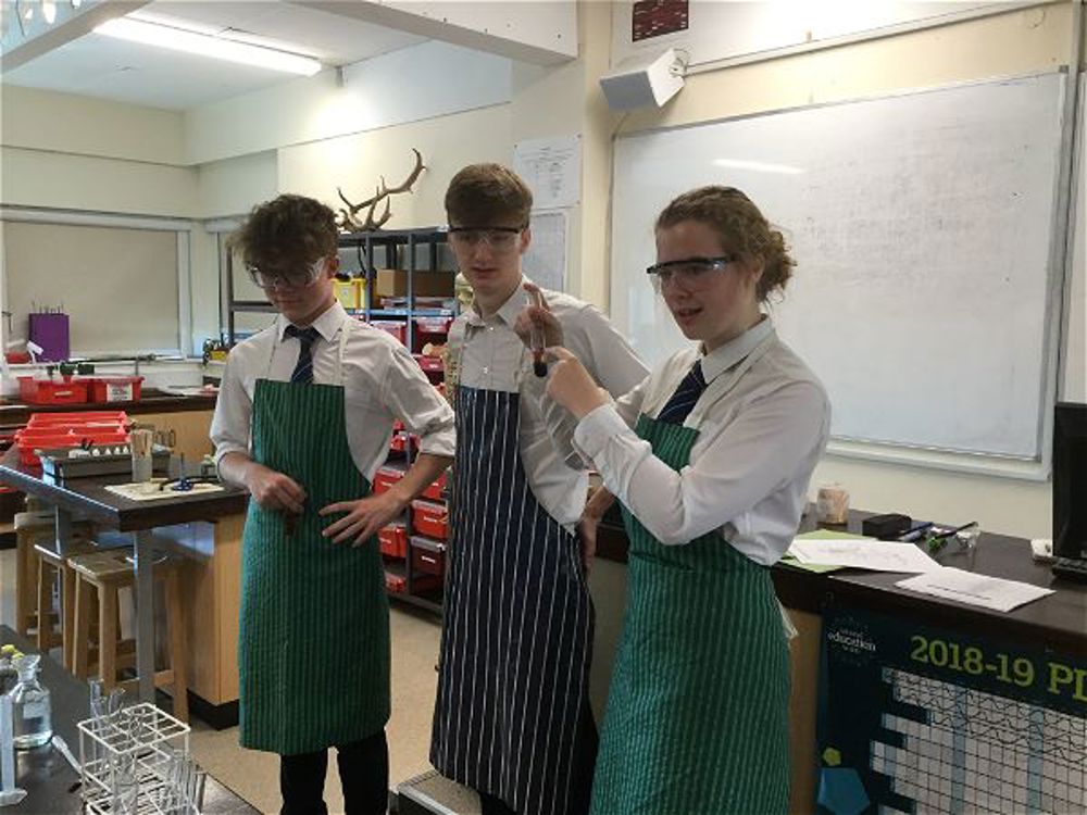 Local Primary Pupils Enjoy Rich's Labs - Image