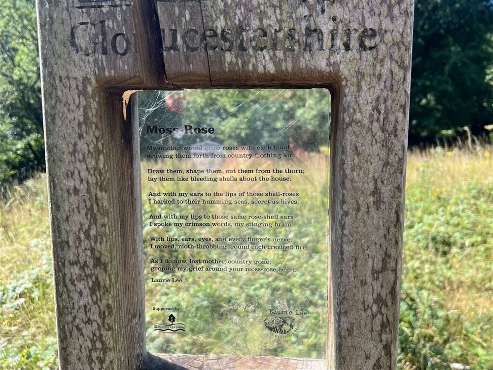 Ecopoetry Ramble - Image