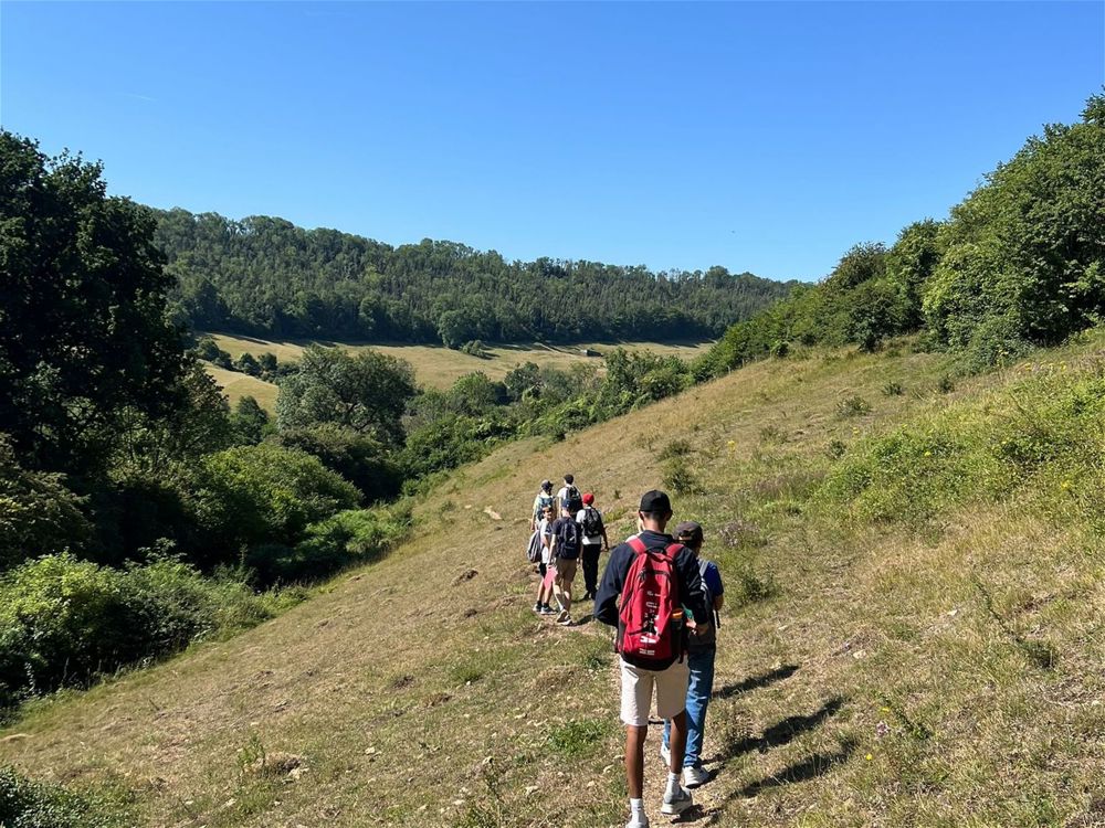 Ecopoetry Ramble - Image