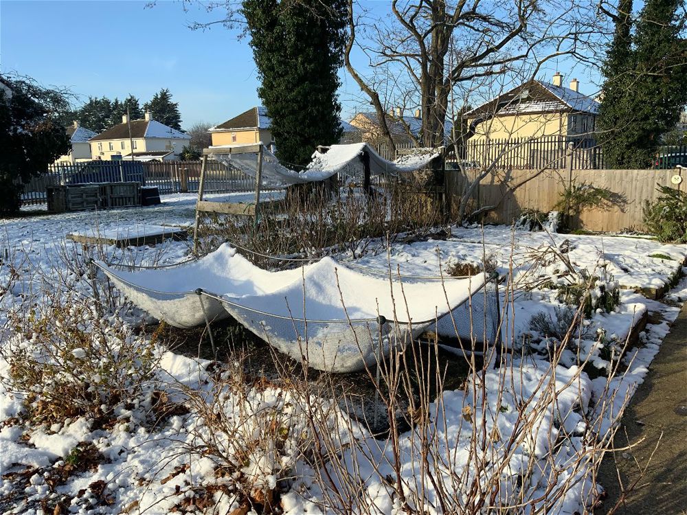 Winter Wonderland - Image