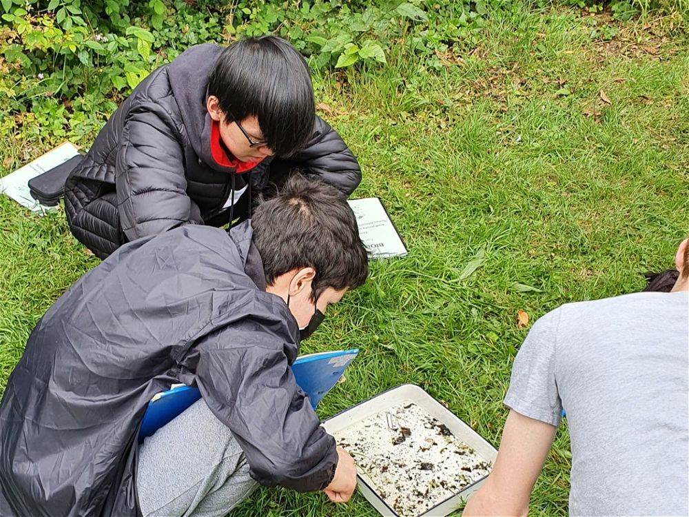 Biology Fieldwork  - Image