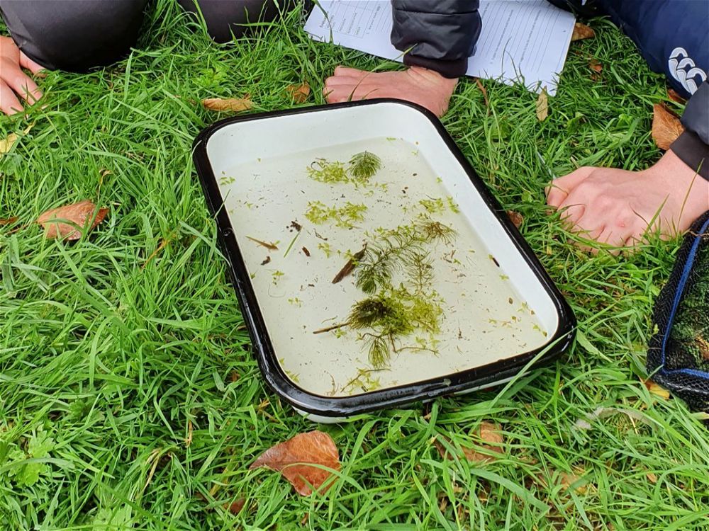 Biology Fieldwork  - Image