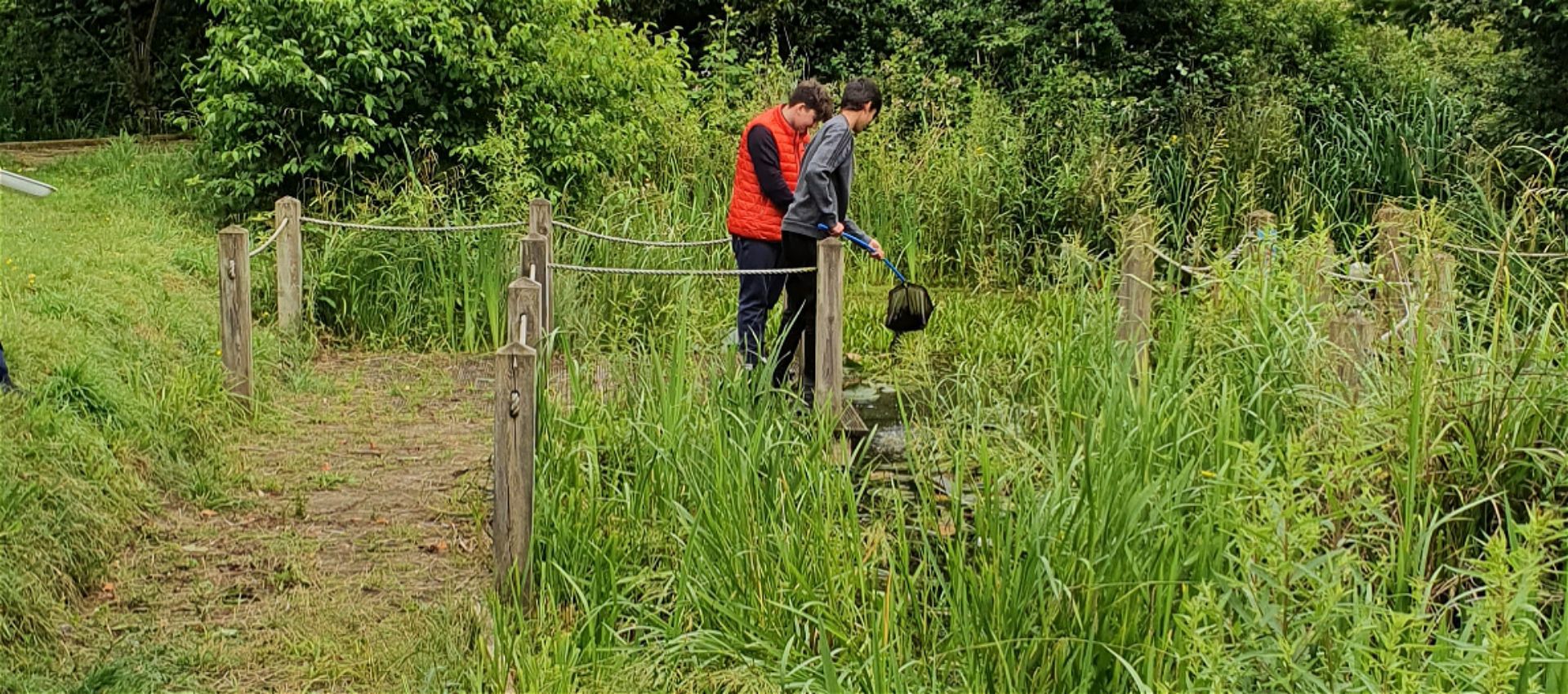 Biology Fieldwork 