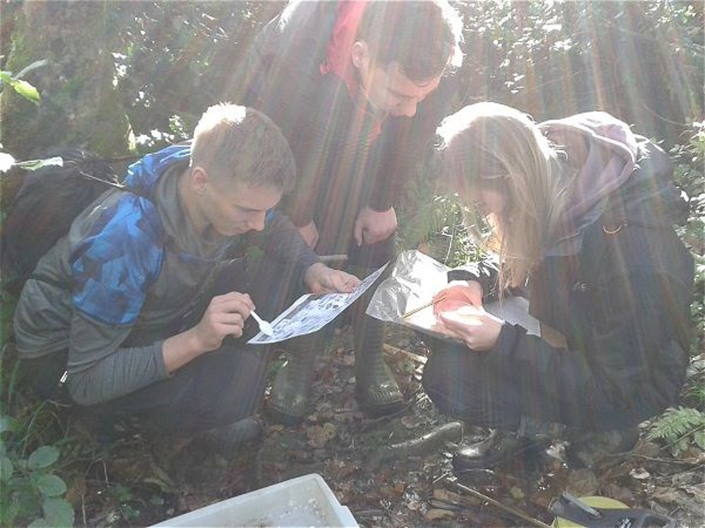 Biology trip to Pembrokeshire - Image