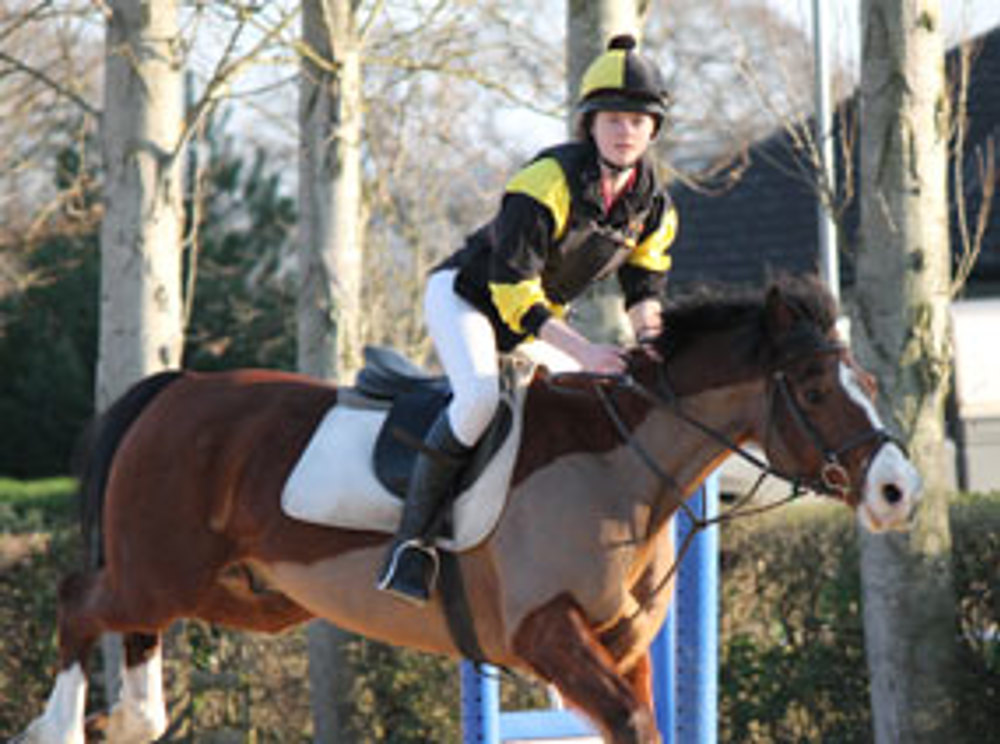 Equestrian Club News - Image