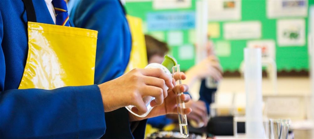 New Vacancies – Teacher of Biology (maternity cover), Teacher of Science (Physics, Chemistry or Biology specialism), Science Technician