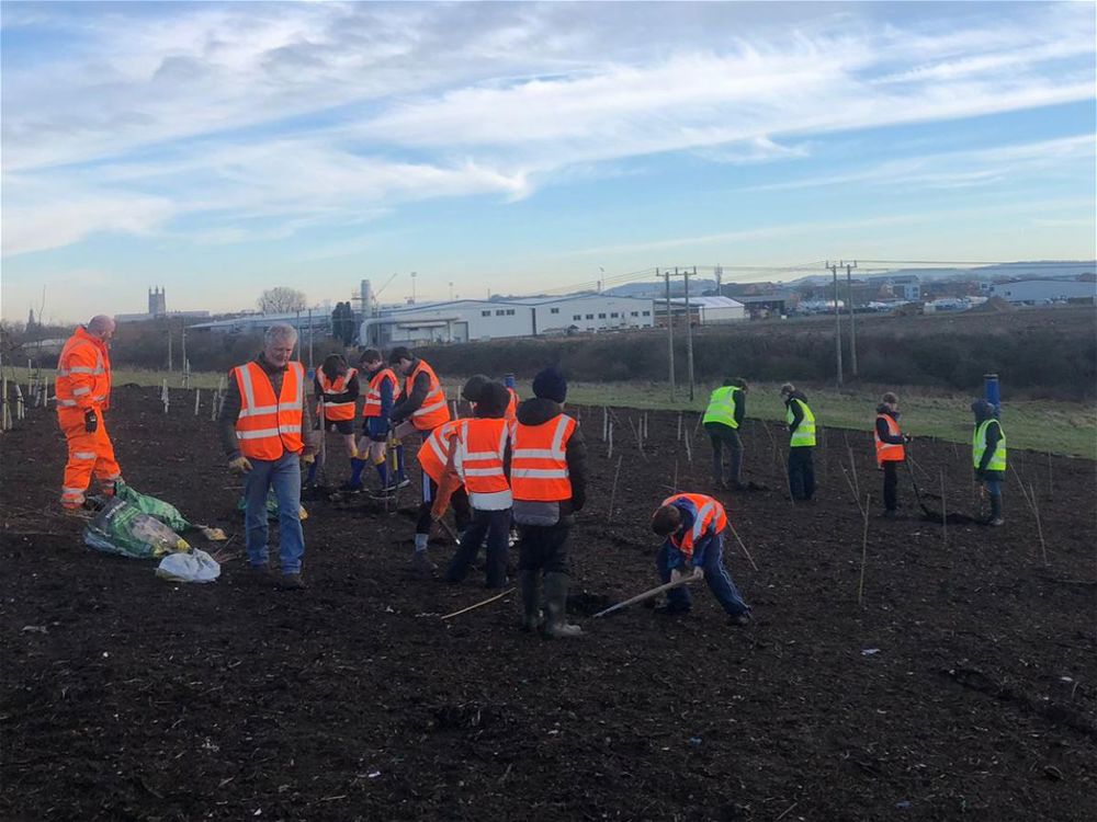 Eco Club Students Plant Trees on Landfill Site - Image