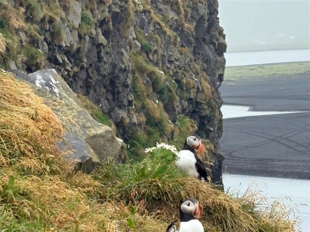 Iceland Trip - Image