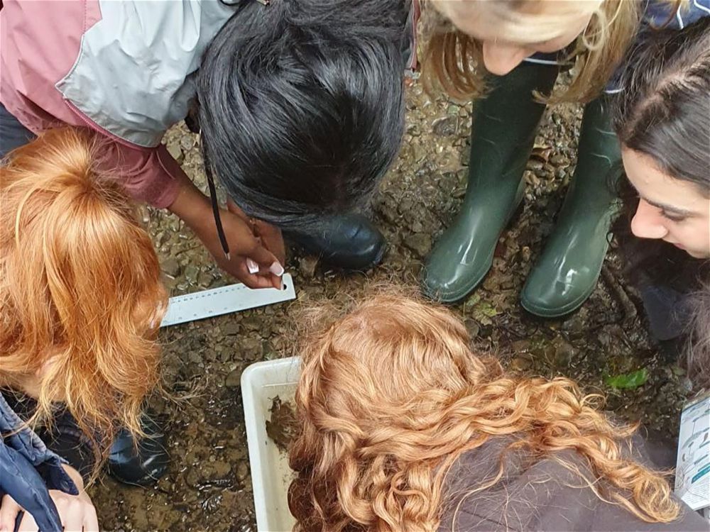 Year 13 Biology Fieldtrip - Image