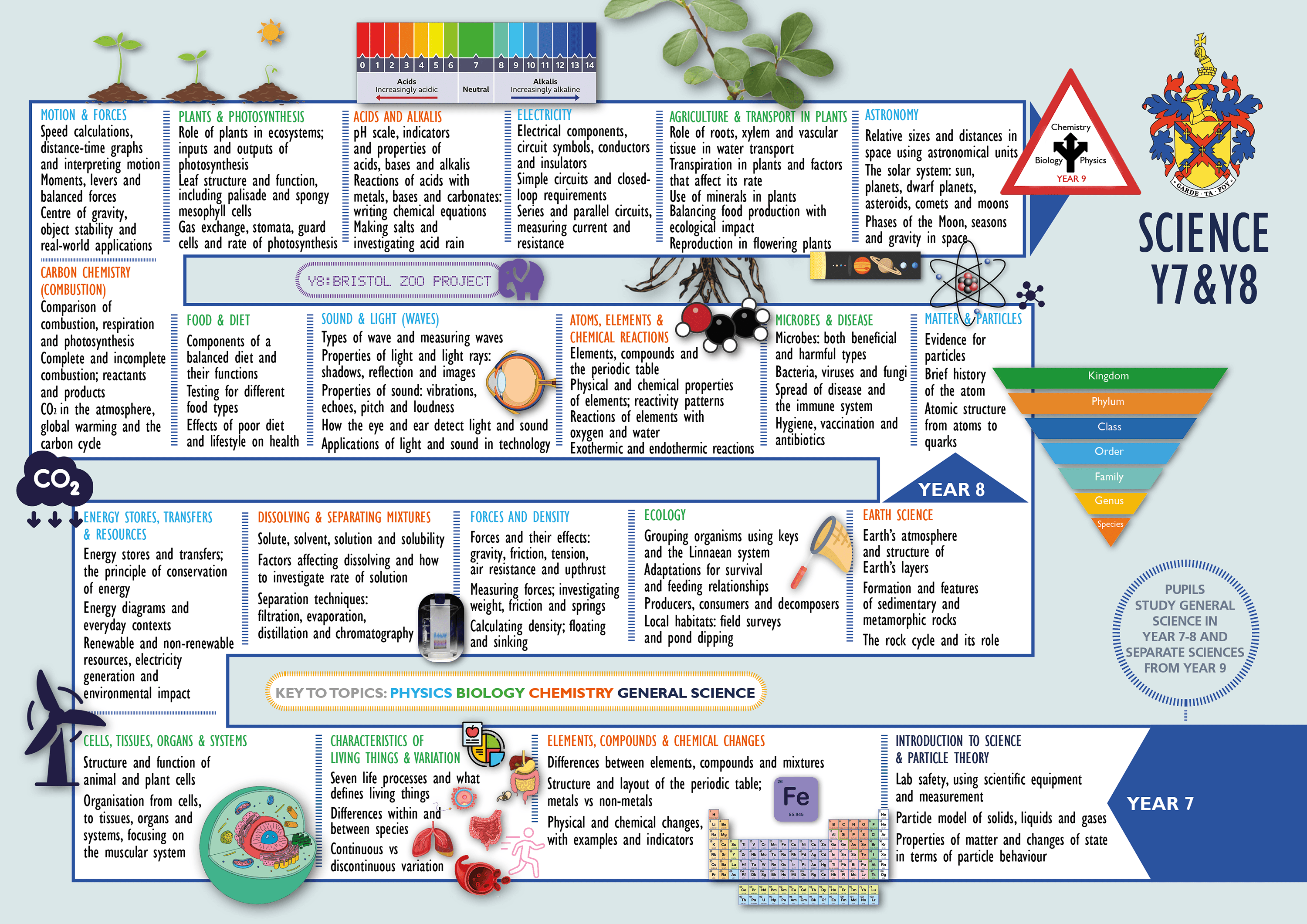 Curriculum Map